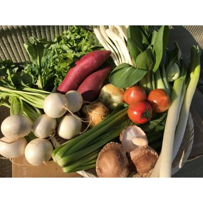 ふるさと納税 行方市 【発送月固定定期便】【上旬発送】『身体が喜ぶ野菜』季節の詰め合わせ(おまかせ10〜12品)全10回 |  | 02