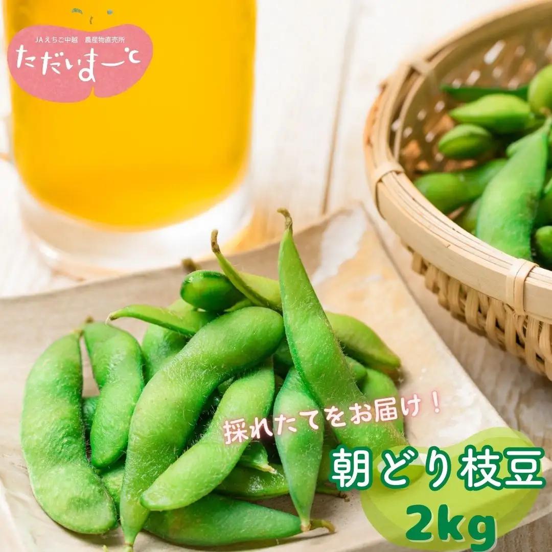 枝豆 2kg 新潟県産 朝どり 枝豆