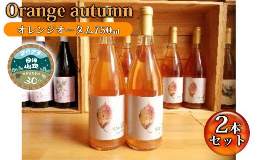 
B-17 Orenge autumu（オレンジオータム750ml）2本セット
