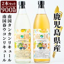 【ふるさと納税】南国タンカン・春ウコンリキュールセット(各900ml)鹿児島県産 芋焼酎 酒 リキュール　たんかん タンカン 柑橘 フルーツ ウコン 飲み比べ セット【南国酒蔵88】