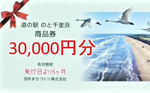 
[G051] 道の駅のと千里浜オリジナル商品券（30,000円）
