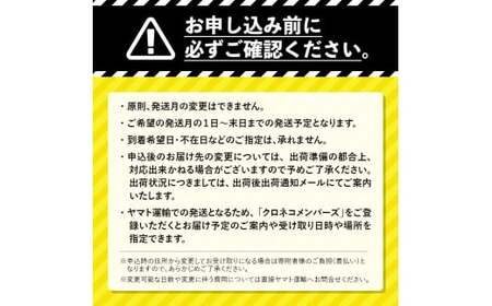  牛タン 計1kg 2024年7月発送 牛肉 牛たん 厚切り 薄切り 食べ比べ セット 焼肉 北海道 十勝 更別村 F21P-407