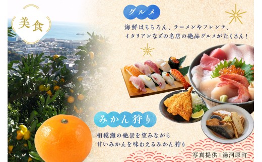 ホテル城山　日帰り温泉 | 湯河原町 旅館 ラドン温泉 天然温泉 露天風呂 観光 休日