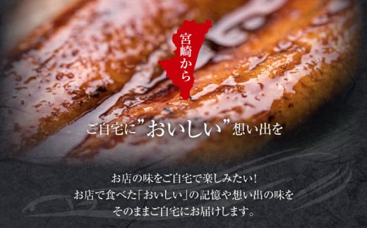 国産うなぎ使用　鰻白焼き　大サイズ（156～180g）2尾セット_M069-010_03