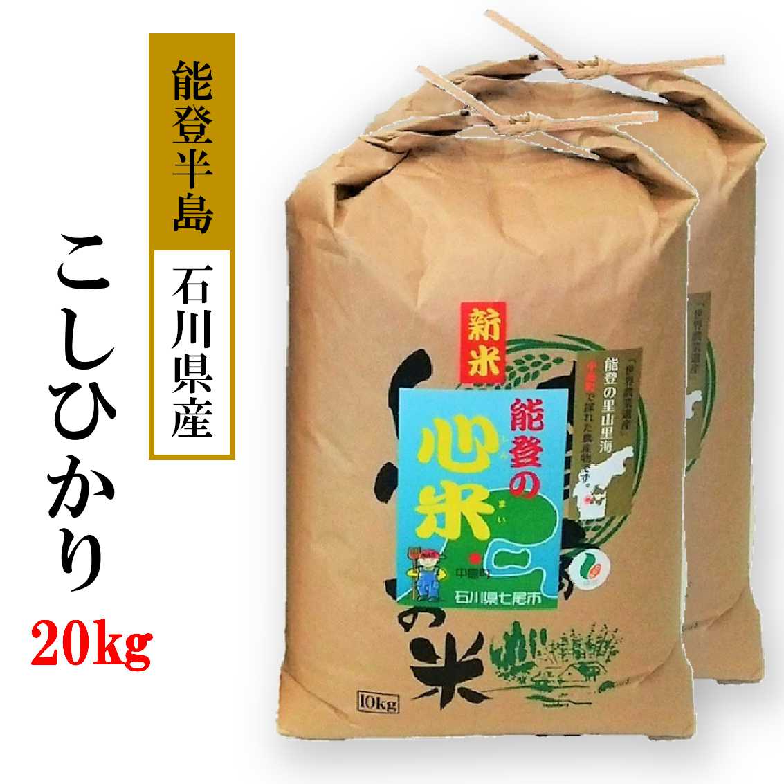 米 20kg / こしひかり 能登の心米（精米20Kg）10kg×2袋 コシヒカリ 米　※2025年11月上旬頃より順次発送予定