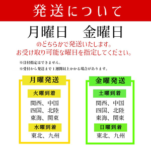 訳あり 岩がき 中サイズ 10個入 3kg前後 生食用 ： 牡蠣 殻付き牡蠣