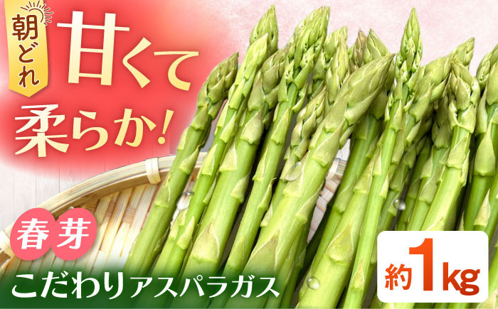 
            甘くやわらか！こだわり 春芽 アスパラガス 約1kg【ふぁふぁふぁーむ】  佐賀県 白石 [ICS001]
          