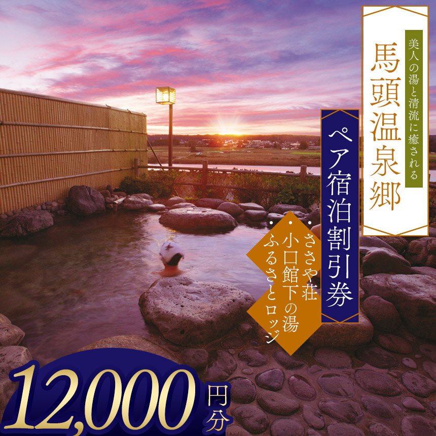 【ふるさと納税】馬頭温泉郷　ペア宿泊割引券（タイプA） | ささや荘 小口館下の湯 ふるさとロッジ ふるさと 納税 ふるさと ロッジ 美人の湯 チケット 旅館 宿 温泉 家族 旅行 宿泊券 旅行券 クーポン 露天風呂 利用券 栃木県 那珂川町 送料無料