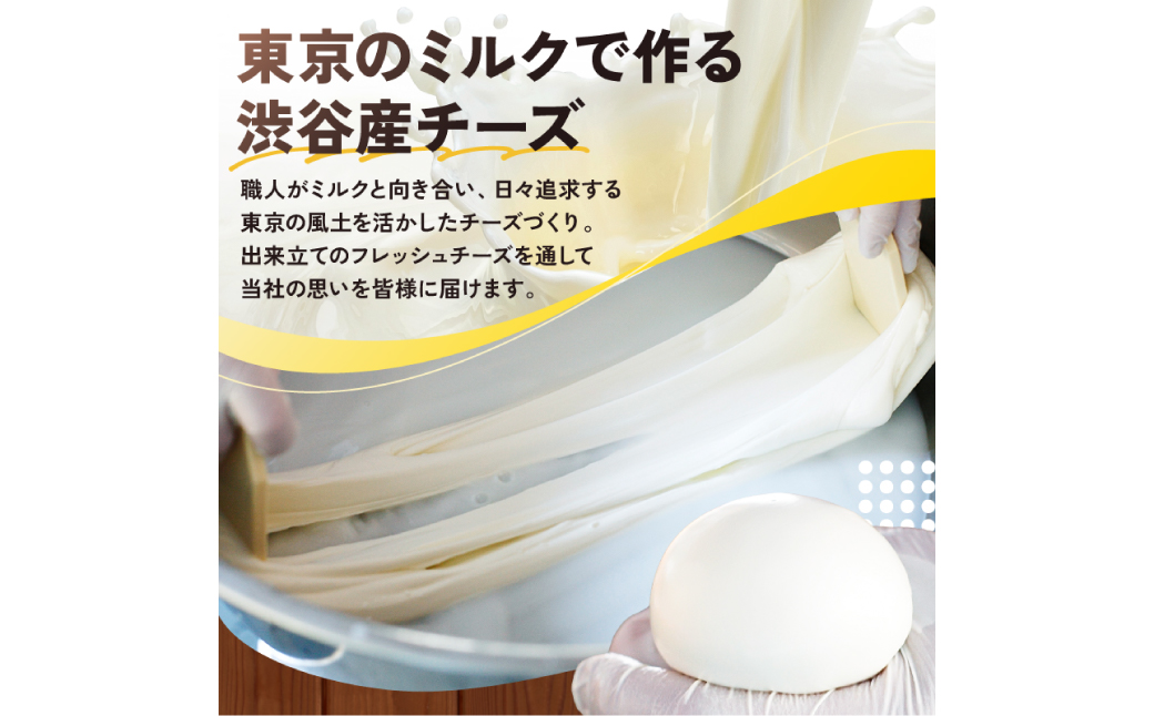 CHEESE STAND 熟成チーズ4種セット