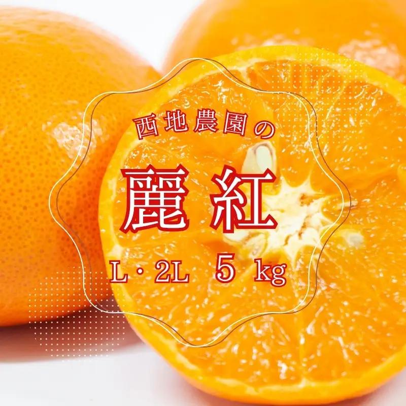 【先行予約】西地農園の麗紅 (れいこう) 5kg L・2L【2027年2月初旬から順次発送】 / 麗紅 れいこう 柑橘 みかん ミカン 柑橘 果物 くだもの 国産 数量限定 ご家庭用 家庭用【mnd007B】