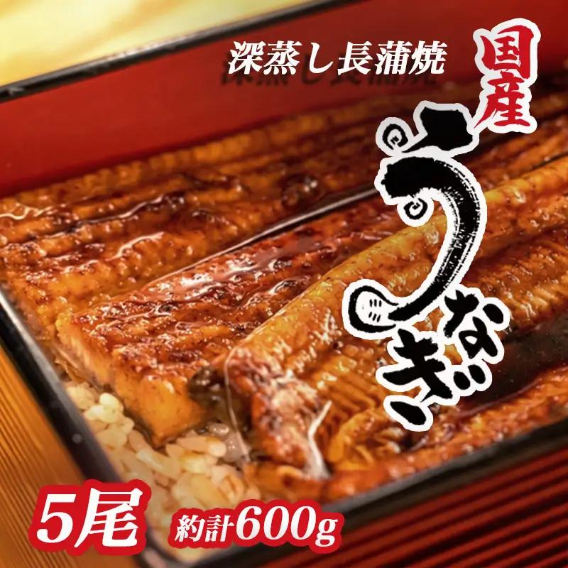 鰻 国産 蒲焼 5尾 約計600g 沼津 鰻