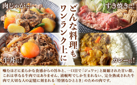 黒毛和牛 うらほろ完熟ビーフ 切り落とし 450g 一般社団法人十勝うらほろ樂舎 《2026年2月出荷開始 30日以内に出荷予定(土日祝除く》 北海道 浦幌町 黒毛和牛 国産牛 切り落とし肉 うらほろ