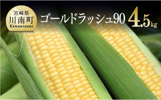 【令和7年発送】政岡さんちのスイートコーン『ゴールドラッシュ90』4.5kg 【 先行予約 数量限定 期間限定 とうもろこし スイートコーン 2025年発送 先行受付 宮崎県産 九州産 】 [D06502]