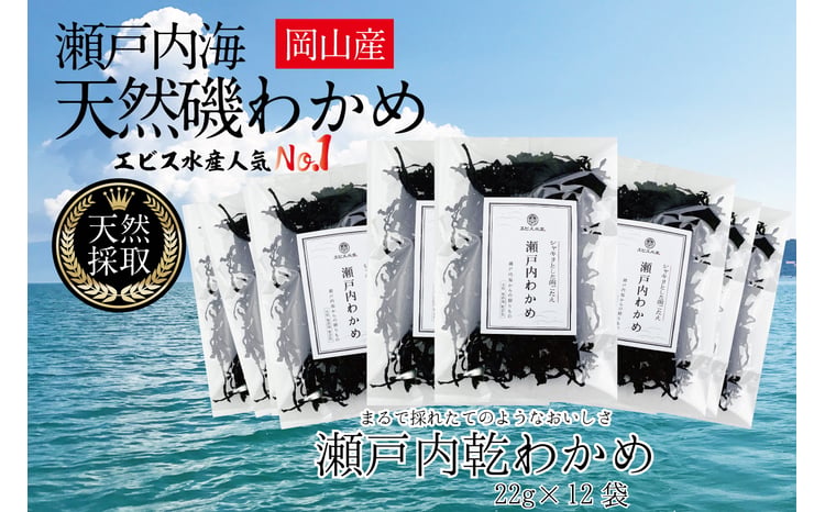 風味豊かな 瀬戸内 わかめ 22g×12袋 エビス水産【岡山 瀬戸内海 天然 カットわかめ】