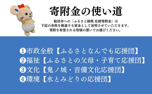 【返礼品なし応援寄附】岡山県総社市（30000円） 22-030-019