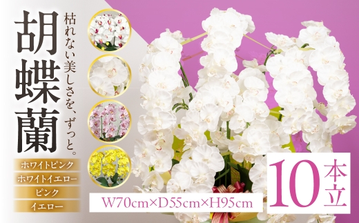 光触媒 造花 胡蝶蘭 10本立 ホワイトピンク 蘭 光触媒加工 消臭 抗菌 防汚 空気清浄 インテリア フラワー ギフト 贈り物 祝い お祝い 母の日 観葉植物 アレンジ エフエヌティ 岐阜県 大垣市