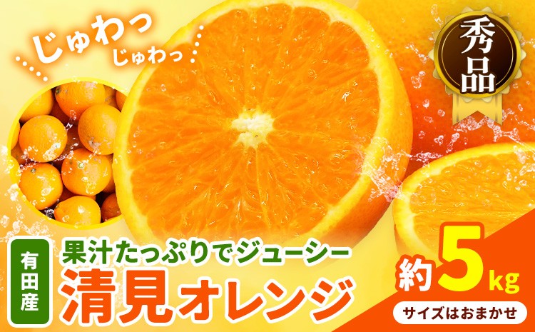 
                  【産直】有田産 清見オレンジ 秀品 約5kg サイズおまかせ 日高町厳選館《3月上旬-3月末頃出荷》和歌山県 日高町 柑橘 果物 フルーツ 清見 オレンジ 清見オレンジ 有田産
                