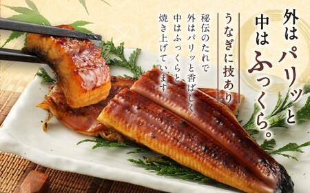 【10営業日発送】 九州産 うなぎ蒲焼 上 1尾 （160～189g） うなぎ蒲焼き うなぎ 鰻 ウナギ 蒲焼 蒲焼き 冷凍 福岡県 北九州市