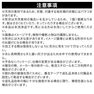 ふるさと納税 邑楽町 形状お任せ 筒型コルク Mサイズ 長さ50cm エアプランツ|09_chm-cl0101cc |  | 02