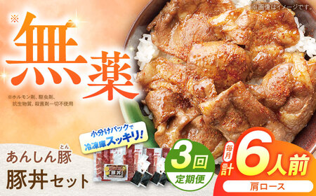 【3回定期便】豚丼セット計6人前 藤井ファーム[AWAF013]