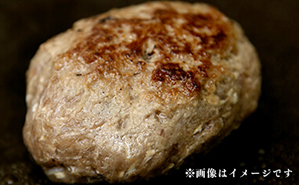 阿蘇 あか牛 丼 (1個) と 阿蘇 あか牛 ハンバーグ (2個) セット あか牛肉100％使用 牛肉 牛 惣菜 冷凍 熊本県産