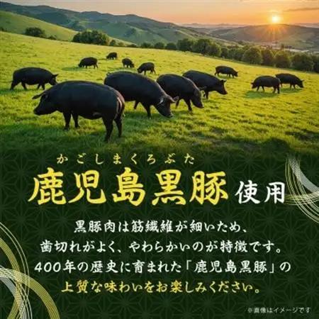 【毎月定期便】鹿児島県産黒豚 ほどける 黒豚の角煮【約200g×4P】FF0-0002全4回_惣菜・加工品     惣菜・加工品 レトルト    肉  豚肉   肉     惣菜・加工品     定期