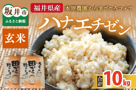 【先行予約】【令和8年産・新米】 ハナエチゼン10kg(5kg×2袋) ～本原農園からまごころコメて～（玄米）【2026年9月上旬以降順次発送予定】 [B-8917_02]