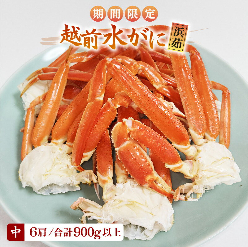 【ふるさと納税】【期間限定】≪浜茹で≫越前産水がに 中サイズ6肩（足のみ 2肩あたり300〜400g）合計900g以上 【雄 ズワイ 越前ガニ ボイル 冷蔵 かに カニ 蟹 福井 】希望日指定可 備考欄に希望日をご記入ください