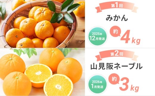 【定期便(4回発送)】果物定期便A　2025