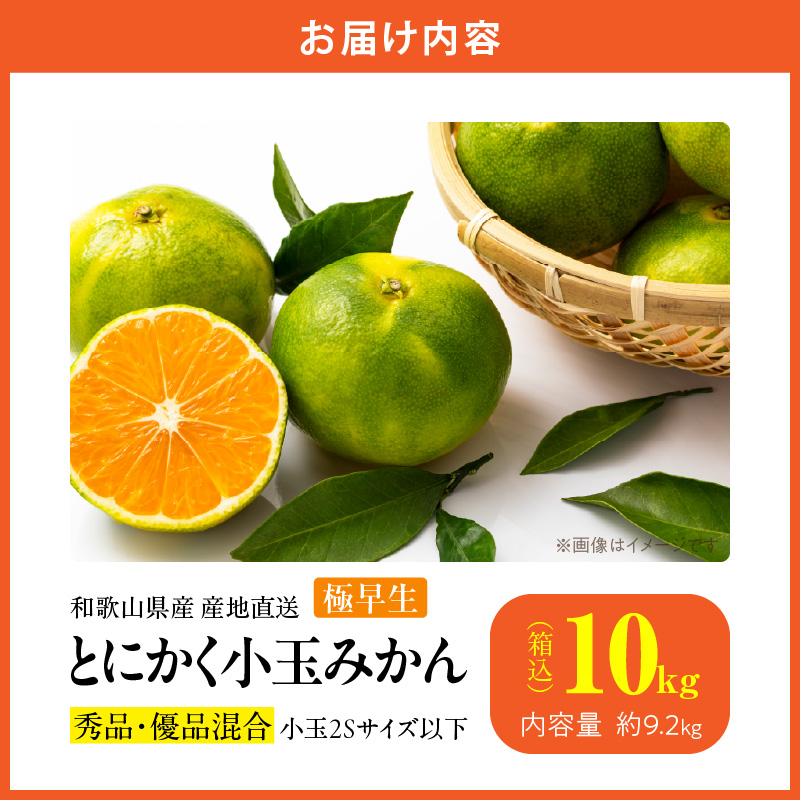 MK1074_【2025年先行予約】とにかく小玉 みかん 極早生 箱込 10kg ( 内容量 9.2kg ) 2Sサイズ以下 秀品 優品 混合 有田みかん 和歌山県産