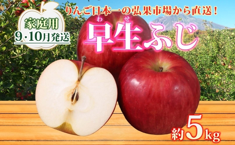 
            【9月・10月発送】家庭用 早生ふじ 約5kg【西目屋村産・青森りんご】 りんご 林檎 リンゴ 果物 フルーツ くだもの 旬 青森県産 お取り寄せ 詰め合わせ セット 常温 産地直送 送料無料 青森県 西目屋村
          