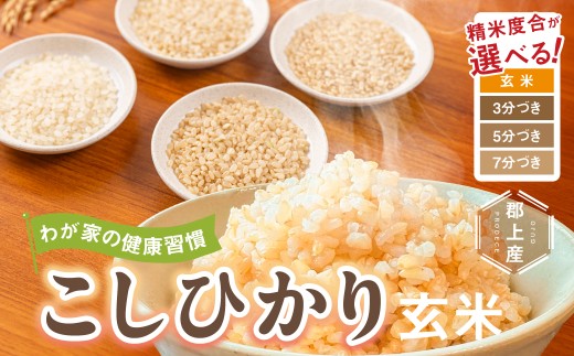 令和7年産 郡上産こしひかり 玄米 10kg  食品 米 精米  コシヒカリ お米 コメ こめ 米G0556-25b_1