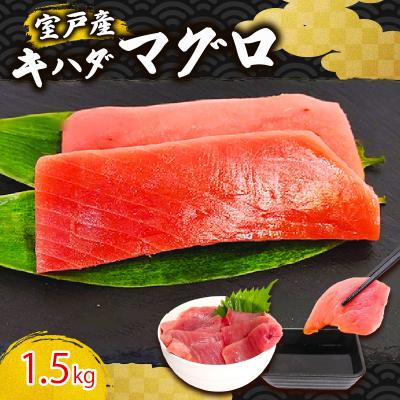 ふるさと納税 室戸市 天然キハダマグロ 1.5kg 刺身用柵 赤身 刺身 室戸市産 |  | 01