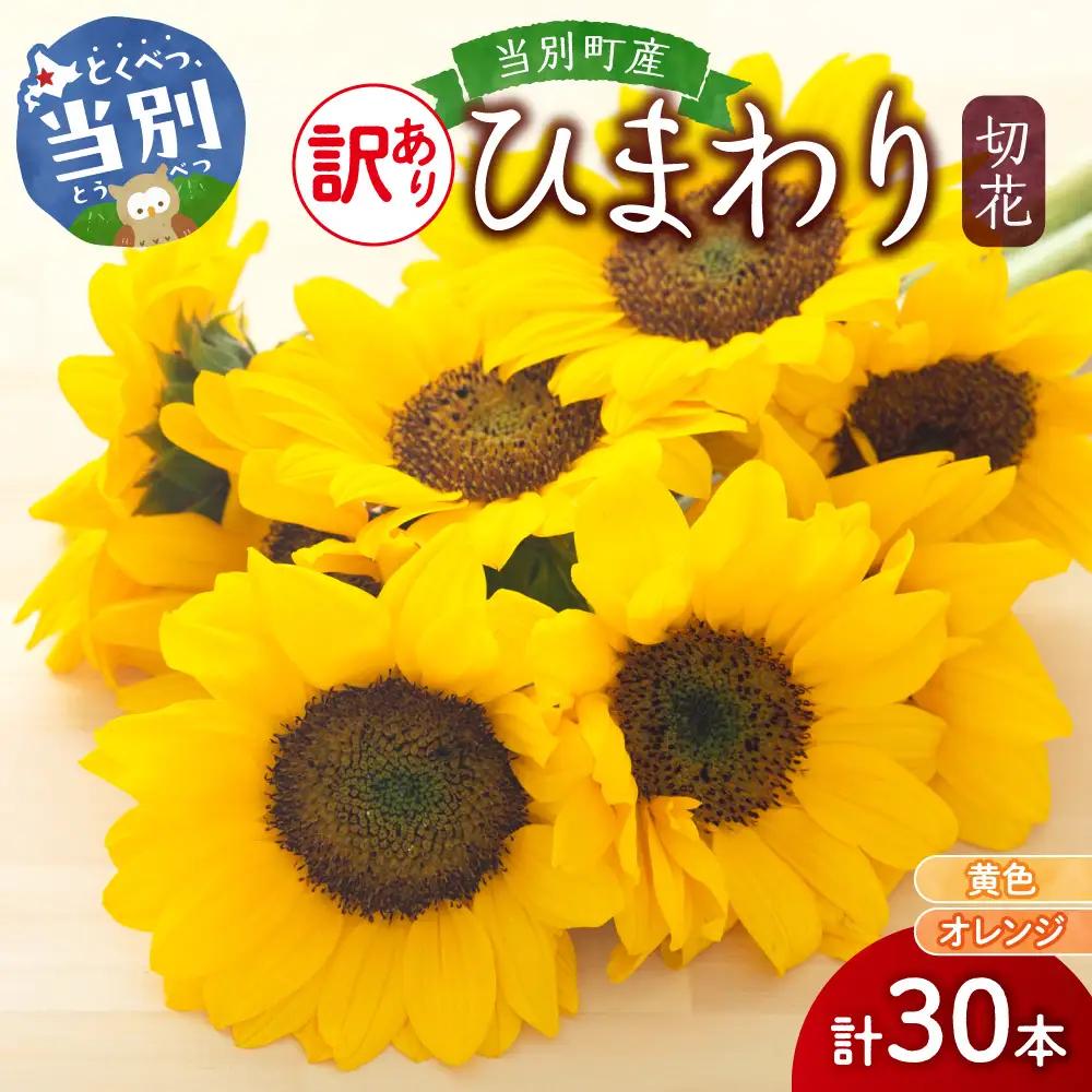 【訳あり】ひまわり 切花 30本 黄色 オレンジ 四季農場《6月上旬-9月下頃出荷》