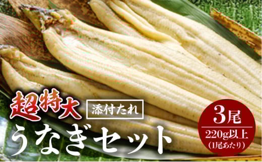 《2025年8月発送予定》うなぎ白焼(超特大サイズ) 3尾_M069-024-aug
