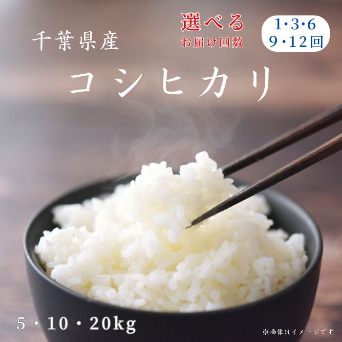 【ふるさと納税】 米 \選べる回数・容量/ 令和6年産 千葉県産「 コシヒカリ 」 匝瑳市産 お米 こめ コメ ごはん ご飯 お米 おこめ 精米 白米 5kg 10kg 20kg 定期便 千葉県