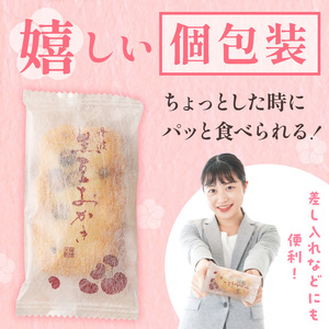 植垣米菓 黒豆おかき56枚【2601H05912】