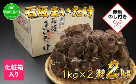 【無地のし】 新潟県 南魚沼産 厳選 国産 石坂 高級 舞茸 まいたけ 産地直送 1kg ×2箱 計2kg 贈り物 ギフト お中元 お歳暮 石坂きのこ