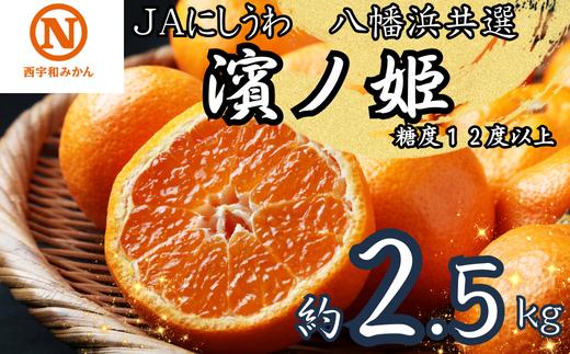 JAにしうわの季節の柑橘(八幡浜共選「濱ノ姫」約2.5kg)＜C08-76＞_ みかん ミカン 柑橘 フルーツ くだもの 果物 ふるーつ 青果 果実 甘い ジューシー 産直 産地直送 旬 柑橘類 人気 愛媛 果汁 JA 農協 濃厚 コク 【1510451】