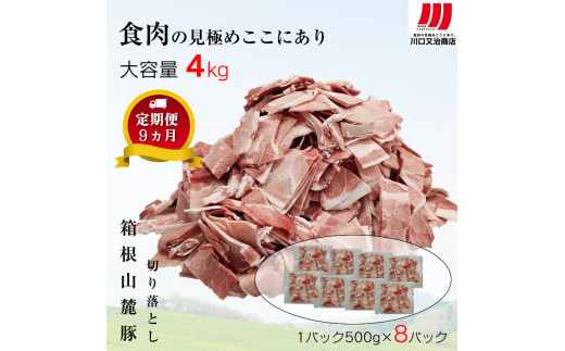 【定期便９ヵ月】箱根山麓豚　モモ・ウデ切り落とし４K盛り(500ｇ×８パック)【 箱根山麓豚 切り落とし 神奈川県 小田原市 】 142069_GC014