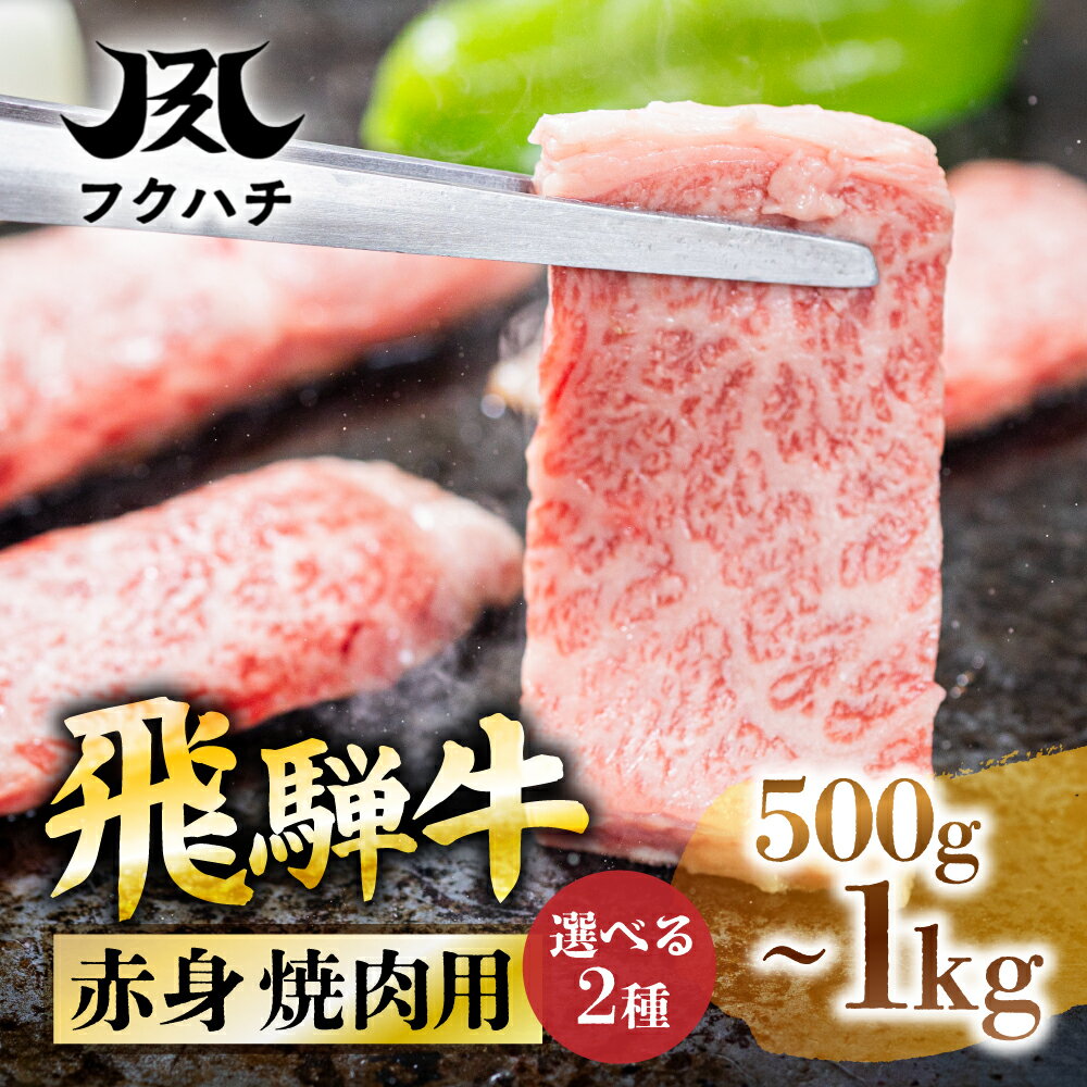 【ふるさと納税】 ≪A4/A5等級≫飛騨牛 焼肉用 500g～1kg 選べる 牛肉 肉 国産牛 国産牛肉 お肉 ブランド牛 飛騨牛 黒毛和牛 和牛 ブランド和牛 ロース 年末 牛肉 贅沢 赤身 赤身肉 バーベキュー 焼肉 ギフト 贈答 プレゼント 1キロ 訳あり 岐阜県 郡上市 フクハチ 冷蔵