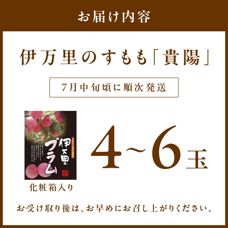 【先行予約】伊万里のすもも「貴陽」化粧箱入り（4～6玉） B741