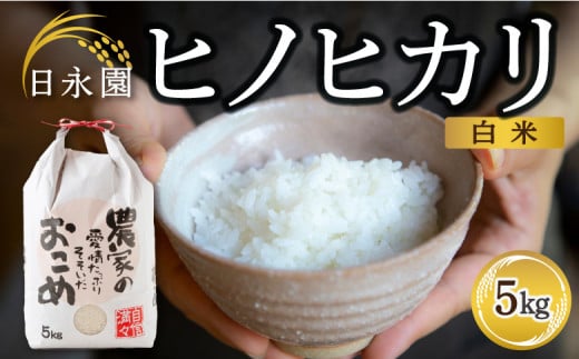 日永園 ヒノヒカリ 白米5kg 【2025年11月下旬より発送予定】 米 お米 ご飯  うきは市