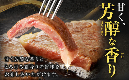 ≪肉質等級4等級以上≫宮崎牛ロースステーキ(計500g) 肉 牛 牛肉 焼肉 国産_T030-015【人気 肉 ギフト 肉 食品 肉 焼肉 肉 ステーキ 肉 BBQ 肉 贈り物 肉 送料無料 肉 プレ