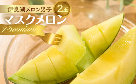 《先行予約》マスクメロン プレミアム 2玉 伊良湖メロン男子