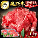 【ふるさと納税】【お中元対象】A5ランク 飛騨牛 切り落とし 1kg(250g×4)【有限会社マルゴー】牛肉 飛騨牛 土岐市 [MBE003]