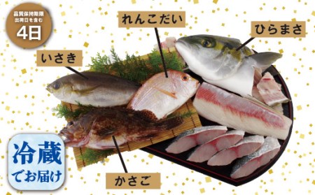 【地魚】五島列島旬の地魚大漁セット 魚介類 A198