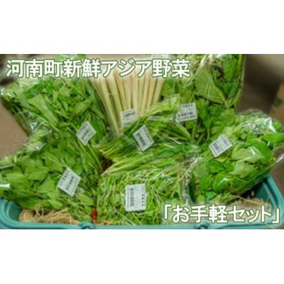 ふるさと納税 河南町 【6〜7種類】河南町新鮮アジア野菜「お手軽セット」