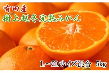 【濃厚・まろやか】有田産樹上越冬完熟みかん5kg（L～2Lサイズ混合・赤秀） 【tec874A】