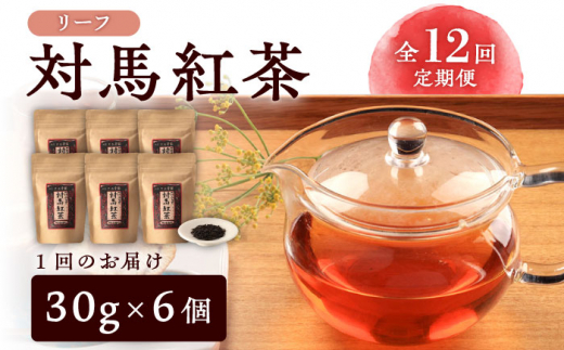 【全12回定期便】対馬 紅茶 リーフ 30g×6個 《対馬市》【つしま大石農園】和紅茶 国産 茶葉 [WBE007]